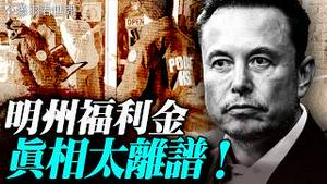 💥明尼苏达福利骗局持续发酵！马斯克揭开背后真相！明州模式在美国各州复制，一个佔据美洲大陆的海盗集团正在曝光。｜薇羽看世间 20251230