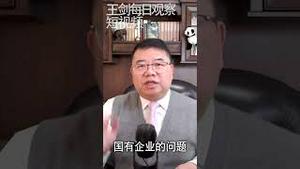 国企混改就是当代版公私合营/王剑每日观察 #shorts