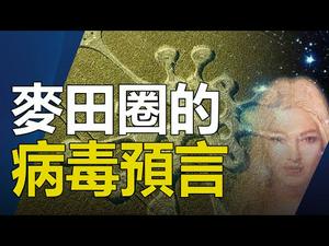 ??麦田圈的病毒预言❗外星人的警告来了❓❗