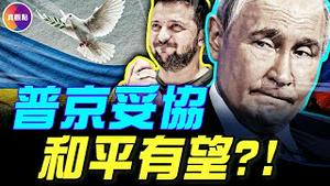 传普京开停战条件，关键问题让步！乌俄停火有望，泽连斯基成「变量」！