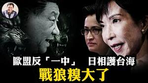 习近平遭遇72小时完美风暴！萧美琴瞒天过海闯欧洲震惊北京，高市早苗国会亮剑堵死武统之路，中共战狼「斩首」狂言反成铁证！「一中原则」神话彻底终结！【江峰漫谈20251110第1148期】