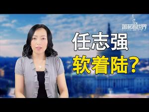 （双声道）任志强被调查，习近平达到目的了吗？