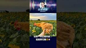 480元的半只鸡🐔刷新你对贵族的认知 #鸡 #上海餐厅