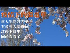 【第12期】昔日繁华的温哥华街道，疫情下显得冷清寂寥。同一个视频，从新配音和剪辑了，希望能有更好的观感。疫情下的温哥华 | 薇羽看世间 20200410