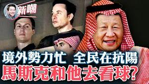 马斯克和库什纳一同现身世界杯，引发各种揣测！放开后，现在满大街都是杨过（阳过）！全民在抗阳，段子实在多！境外势力太忙，临到年关他们也该歇歇了！2022.1219