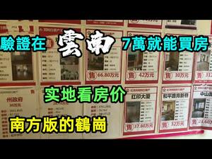 云南这个地方的房价可以跟鹤岗有得比|市中心壹套房13万，周边配套超越四线城市，非常适合退休移居|#鹤岗#几万块的房子#便宜房子#养老城市#CC subtitles added中英双字