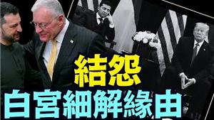 理解细理 ⋯ 顿晓为何川普“极速停火 拼命稀土” 偏被政客与主媒：故意忽视！（02 20 25）#川普 #特朗普 #trump #马斯克 #elonmusk #乌克兰 #zelensky #putin