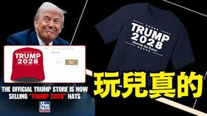 宪法游戏 似乎有眉目 ⋯ 也或试水？（04 24 25）#川普 #特朗普 #trump #马斯克 #elonmusk #互惠关税 #tarif  #china #chinese