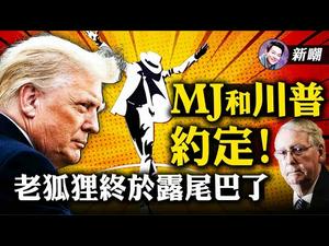 迈克尔.杰克逊壮志未酬，川普大帅挺身而出！至于麦康奈尔，不过是一条肥鱼罢了！白宫网站询问民意：您就快点动手吧！ | 新闻最嘲点 姜光宇 | Mr.FunnyNews (2020.12.16)‬
