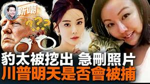 豹太真人终于被挖出，本人急忙删除脸书照片！习普会面普京身体状况再次引发关注！豹太办慈善机构为洗钱！蔡天凤案发后为何由她引导媒体风向，目的成迷！川普自曝明天或被拘捕！【新闻最嘲点】2023.0320