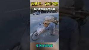 这盛世，如你所愿。