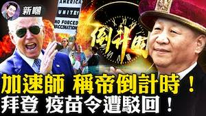 万字马屁长文劝进，为习近平称帝做好准备！打脸，拜登强制疫苗令遭法院驳回！让推友决定是否该卖股票，马斯克欲擒故纵！2021.11.08