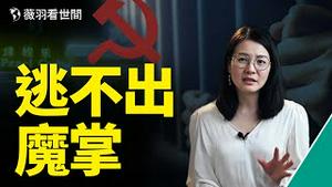 他们被卖给诈骗集团，失去自由，却求助无门，他们是中国的弃儿，黑手的目标。｜薇羽看世间 第375期 20210920