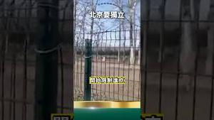 北京建墙割韭菜！一线城市要独立？