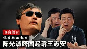 陈光诚起诉王志安是假盲真骗还是造谣诽谤？王志安面临什么样的司法后果？《建民论推墙2948》