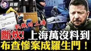 上海市民嗷嗷待哺，成吨食品蔬菜烂在仓库无人问津！俄罗斯有前科，从「卡廷惨案」看「布查惨案」！风投女王加群抢菜，金融一哥找鸡上火，上海真魔幻！2022.0408