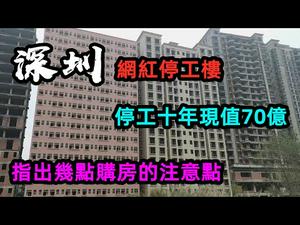深圳价值几十亿烂尾楼，荒废十多年无人敢动也没有拆迁|龙哥的冰山壹角，要是还在绝对富可敌国#香港投资#大湾区#房产#CC subtitles added中英双字