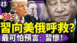 炸！习近平原名白近平？习向美俄发SOS信号，彭丽媛遭习抛弃？高考作文题藏反贼信息！最可怕预言揭习老底！（老北京茶馆/第1376集/2025/06/08）