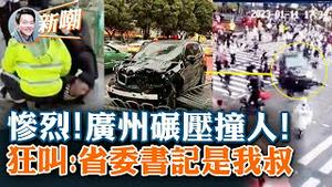 广州宝马车主以中东恐怖份子手法冲撞碾压人群，现场惨不忍睹！凶手撞停后大撒现金，还狂叫「省委书记是我叔」！北京小哥八天五位亲人过世，都不能说是新冠！2023.0111