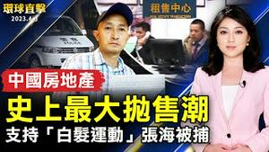 中国房地产遭遇史上最大抛售潮；中共肺炎难属张海被捕 曾支持「白发运动」；陆委会表遗憾：马英九唱和中共「一中原则」；神韵世界艺术团台湾32场爆满 观众盼明年见。【 #环球直击 】｜ #新唐人电视台