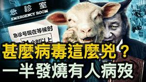 从未有过，津日诊创纪录；中共筹建近空部队，登陆舰💥燃黑烟；知道统治将终结，习求美援9千亿。【新闻看点  11.22】