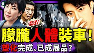 于朦胧人体被穿衣，抬出启浩中心？凛北川被送边境特种部队，性命堪忧；习近平反日输惨！插兜哥刘劲松成日本遗孤！（老北京茶馆/第1490集/2025/11/20）