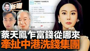 蔡天凤邝家及谭家是中港洗黑钱集团中的一条线，集团牵扯港警政界及中共高层，或因蔡天凤知道些不该知道的事才遭此毒手！网友发起连署抵制甄子丹担任奥斯卡嘉宾！2023.0306