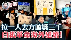 我们是牲口嘛？18岁女孩灵魂拷问！拉一人去方舱奖三千，别去小区做核酸，阴阳都是人为控制！赵立坚老婆在德国，自己在大陆找小三！怒吼共产党下台，海外华人不再惧怕中共2022.1201