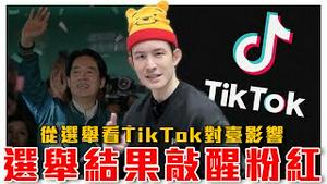 从选举看TikTok对台影响，作票谣言从选前就开始散布｜选完粉红醒了？大量冲塔留言｜认知战问题严重，亲中世代逐渐形成，台湾人不可不防｜粉红特报059期｜波特王好帅
