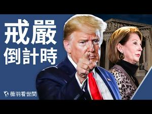 【第217期】川普白宫会议争吵激烈，戒严令和查缴多米尼投票机成争议，鲍威尔受命选举舞弊特别检察官，1月6日是关键日？|薇羽看世间 20201219