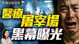 网友惊悚爆料！又一起活摘命案？广西桂林工程师离奇死亡，亲属追责被精神病。｜薇羽看世间 20250402