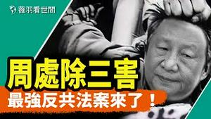 王毅四问美国，美议员提最强反中共法案；政府楼爆炸、公安局起火，两会不安宁，周处除三害？｜薇羽看世间 第837期 20240308