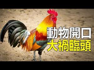 ??动物开口 大祸临头❓阿南德预言：2021世纪大灾将超越冠状病毒❗