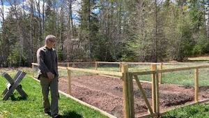 育苗成功，接著松土！生活本该很容易，为什么这么多人过得艰难？ （2021/5/12)