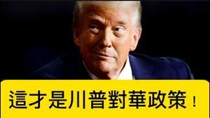 川普赞扬六四屠杀、称香港抗争为骚乱；对华贸易战竟完全符合普京的利益！