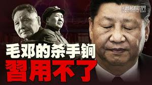 习近平在台湾问题上被逼退？广东战前动员会透露的重要信息；20大前是否动武，这几件事重要；毛邓的杀手锏，习为什么用不了？｜萧茗看世界