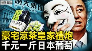 许家印三大豪宅，8千亩千亿文旅城荒废；广东凉茶皇家礼炮，一斤葡萄上千元；普华永道背后鬼影【新闻看点 李沐阳10.6】