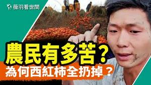 中国农民绝望了！出路在哪里？江西丰城事件会重演吗？｜薇羽看世间 20240626