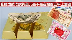 国师张维为鼓吹港币人民币脱离美元体系是给习近平上烂药还是打算让中共自废武功?《建民论推墙1643期》