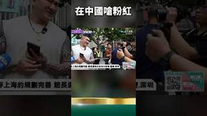 馆长遇国安特务！在中国骂粉红是傻B！