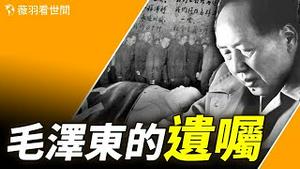 毛泽东临终一个手势，叶剑英读懂了毛的遗嘱。｜薇羽看世间 20240624