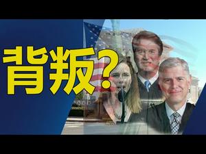 ??高院背叛的真是川普总统❓