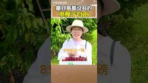 撒贝宁都没有的车厘子自由