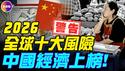 最新数据：中国连续通缩40个月！中共急救：新年发钱20亿！重磅警告：中国经济成2026全球十大风险之一！#真飞 #真观点