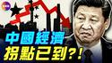 中国经济正全面恶化！畸形「世界工厂」将重演1929年大萧条？ ！唯一一条自救的路是这个…#真观点 #真飞
